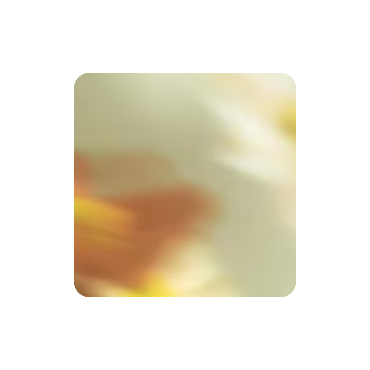 Ngoma Station J.M.V. Usekanabagoyi - Washed Red Bourbon - Rwanda